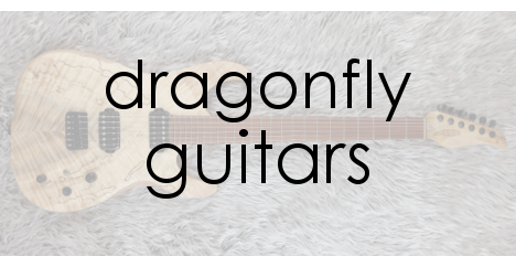 dragonfly custom guitars ドラゴンフライ　ギター