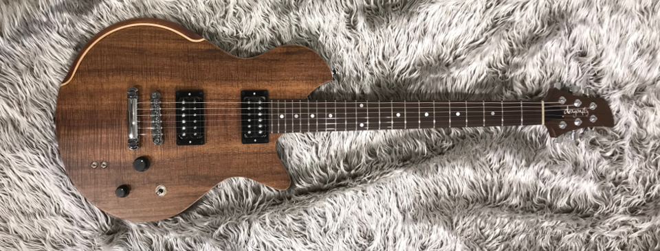 dragonfly guitar MAROON FT 648