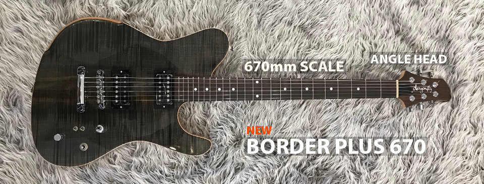 dragonfly guitar BORDER PLUS 670