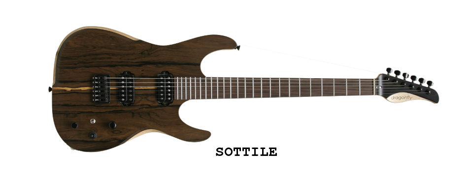 dragonfly guitar SOTTILE