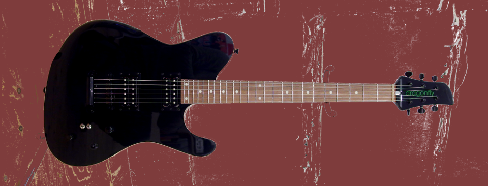 dragonfly BORDER 666