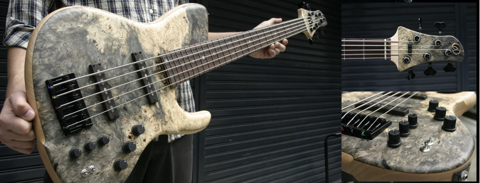 HARRY'S ENGINEERING / dragonfly custom guitars